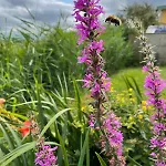 Week End Romantique En Normande Dans En Front De *