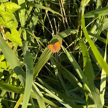 Week End Romantique En Normande Dans En Front De