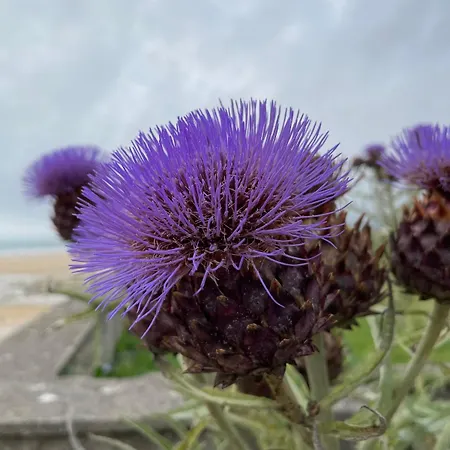 Week End Romantique En Normande Dans En Front De Casa vacanze *