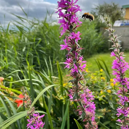 Week End Romantique En Normande Dans En Front De *