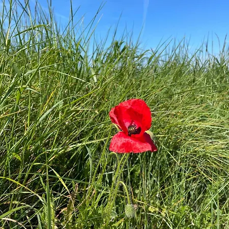 בית נופש Week End Romantique En Normande Dans En Front De *