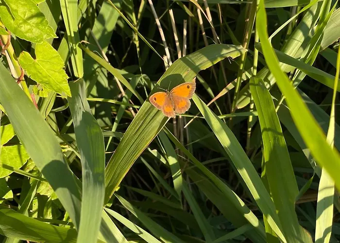 Week End Romantique En Normande Dans En Front De