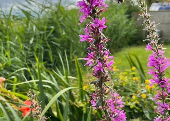 Week End Romantique En Normande Dans En Front De *